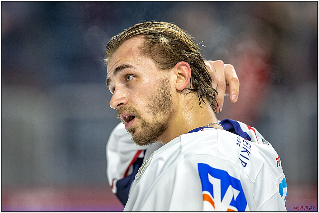 DEL; Koelner Haie - Adler Mannheim, 05.04.2019